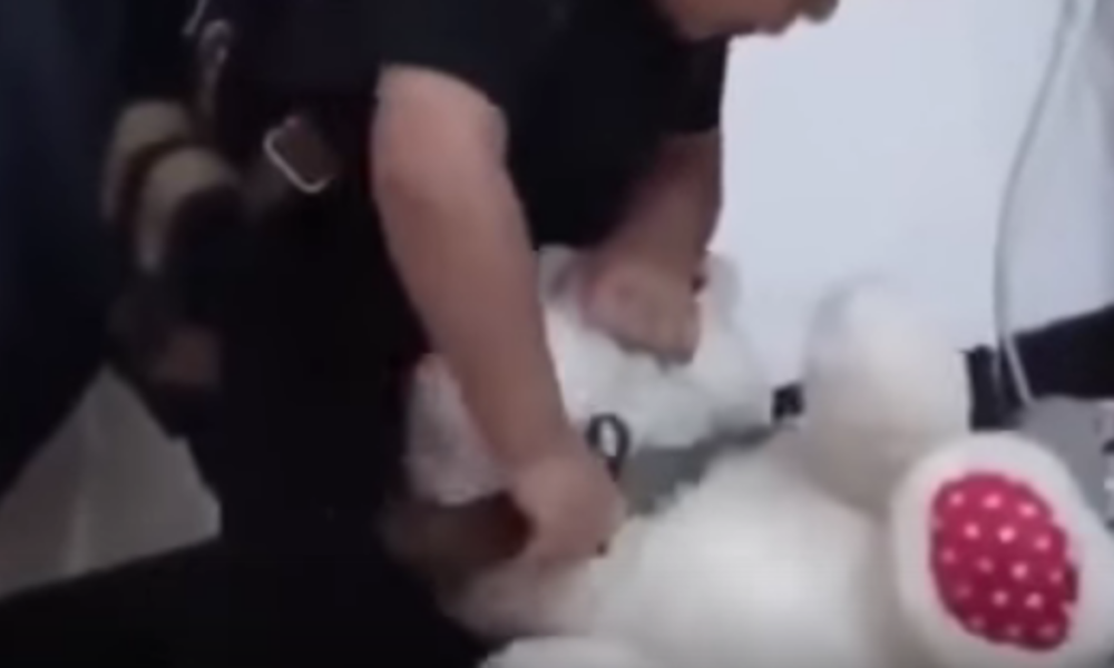 شاهد بالفيديو.. طفل داعشي لا يتجاوز الأربع سنوات يذبح "دمية" ويكبّر