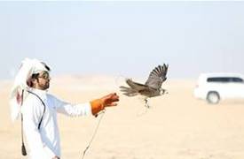 مصادر : اطلاق سراح الصيادين القطريين مشروط وانباء عن طلب فدية