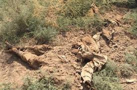 القوات الامنية تعثر على 100 جثة مقطوعة الرأس اعدمهم داعش بناحية حمام العليل