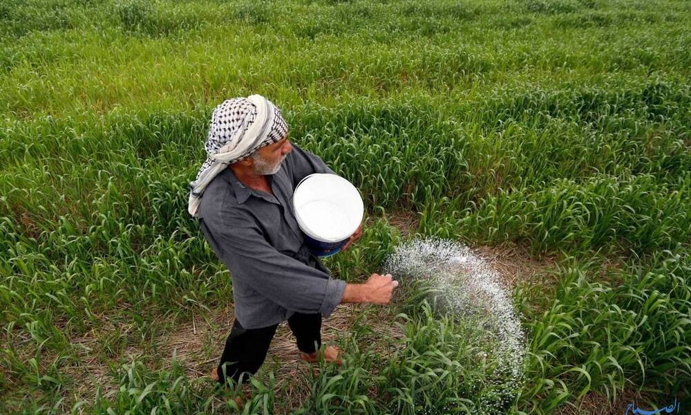 وسط تحديات مائية كبيرة.. العراق يبدأ موسم جني العنبر والياسمين